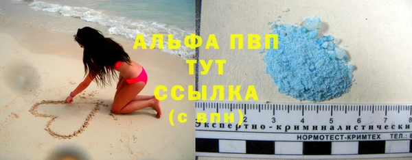 гидропоника Алзамай