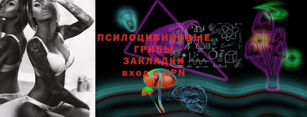 гидропоника Алзамай