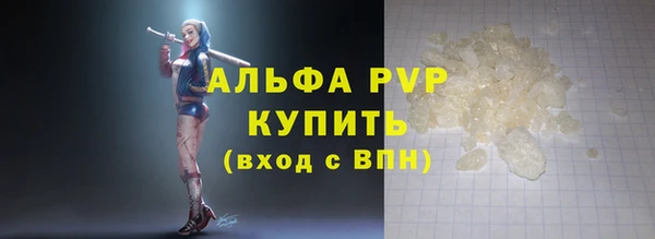 СК Новосибирск